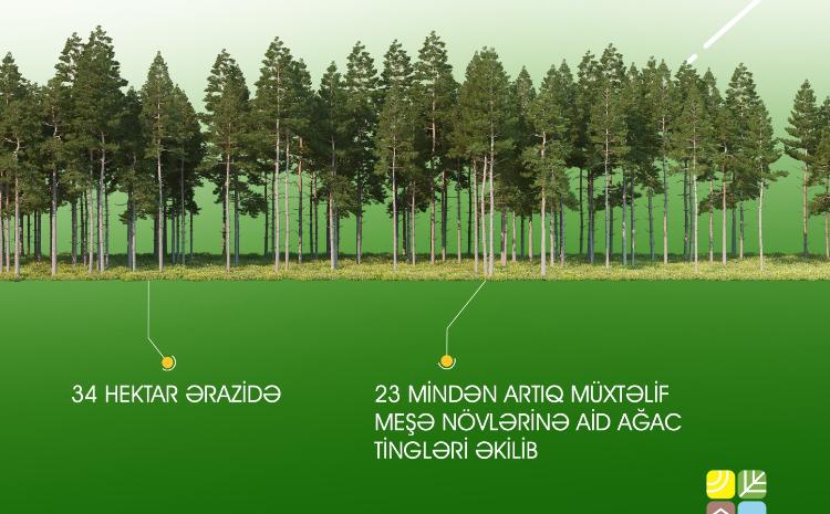 "Beynəlxalq Meşələr Günü"ndə 23 mindən artıq ağac əkilib 