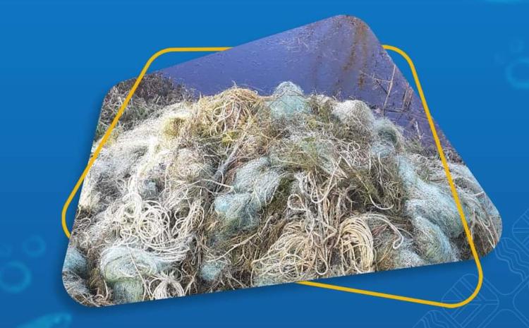 Hövzələri sintetik torlardan birlikdə təmizləyək 