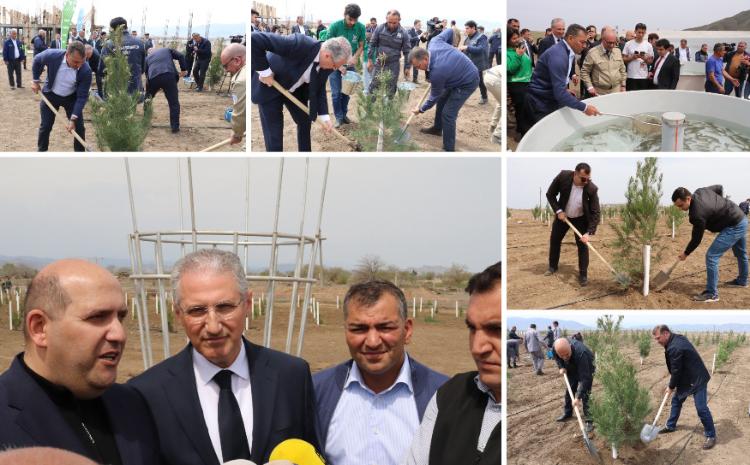Dövlət Turizm Agentliyinin əməkdaşları Ağdamda ekoloji aksiyada iştirak ediblər 