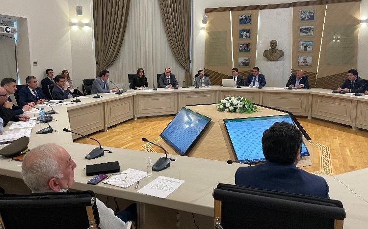 Əlaqələndirmə və monitorinq üzrə alt İşçi Qrupunun növbəti iclası keçirilib 
