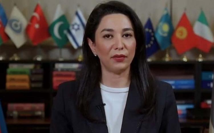 Омбудсмен выступила с призывом в связи с очередной провокацией Армении 