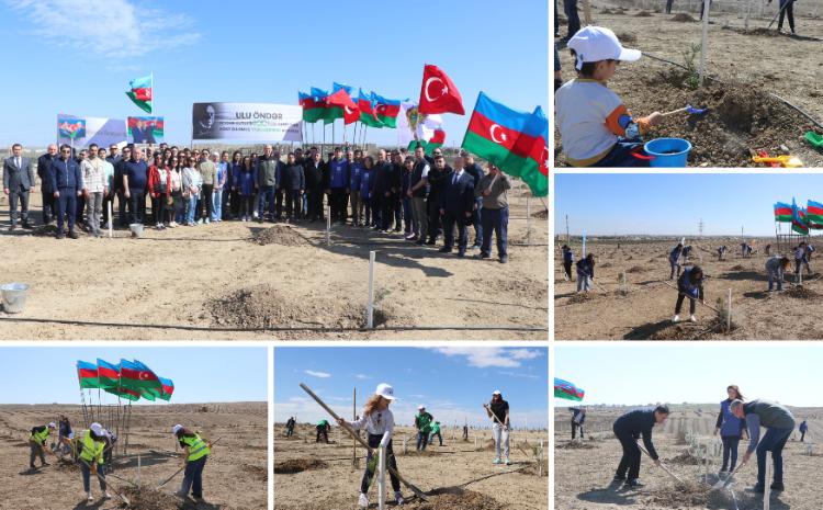 Ulu Öndər Heydər Əliyevin 100 illik yubileyi ilə əlaqədar növbəti ağacəkmə tədbirləri keçirilib 