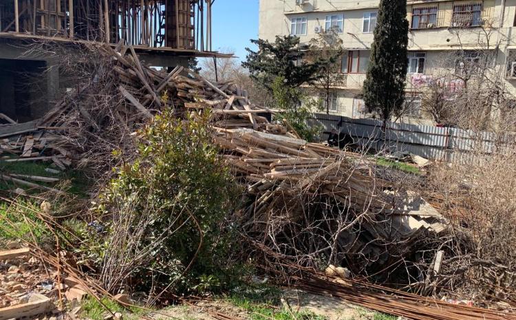 Ağacların qanunsuz kəsildiyi müəyyən olunub 