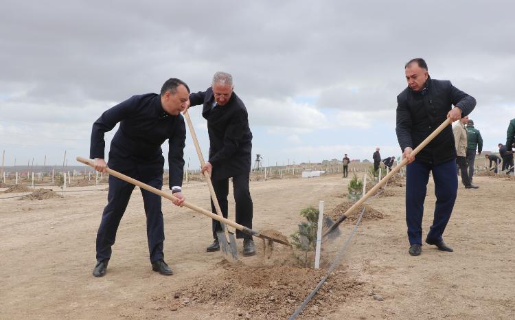 Ulu Öndər Heydər Əliyevin 100 illik yubileyi ilə əlaqədar növbəti ağacəkmə tədbirləri keçirilib 