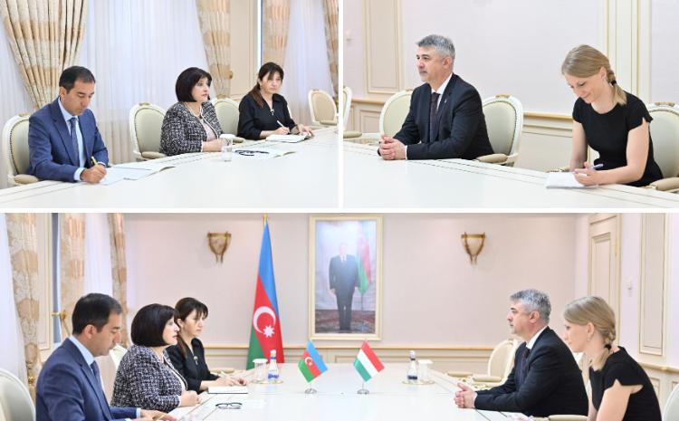 Head of Milli Majlis Sahiba Gafarova Receives Hungarian Ambassador to Azerbaijan 