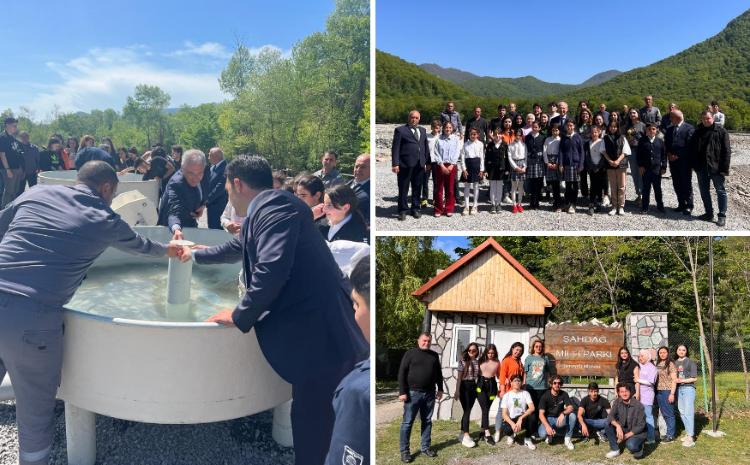 Növbəti ağacəkmə aksiyası və balıq buraxılışı tədbirləri keçirilib 