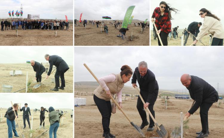 Ulu Öndər Heydər Əliyevin 100 illik yubileyi ilə əlaqədar ağacəkmə aksiyası keçirilib 