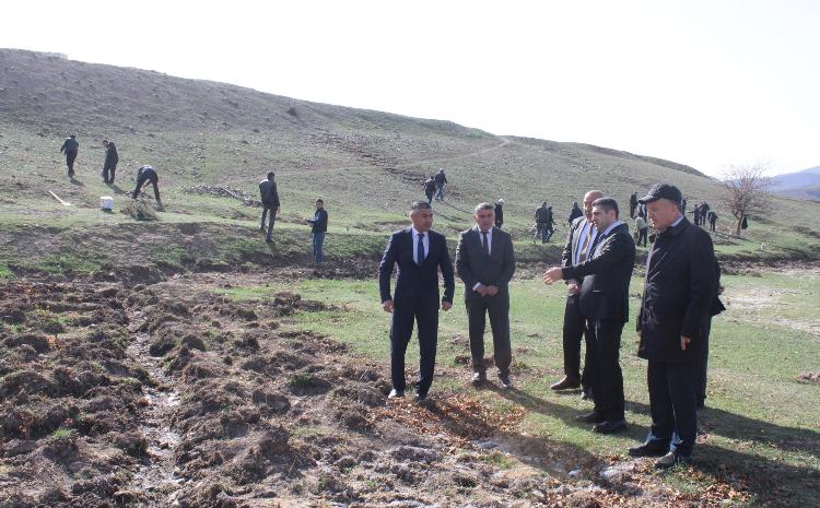 "Heydər Əliyev İli" çərçivəsində Göygöldə növbəti ağacəkmə aksiyası keçirilib 