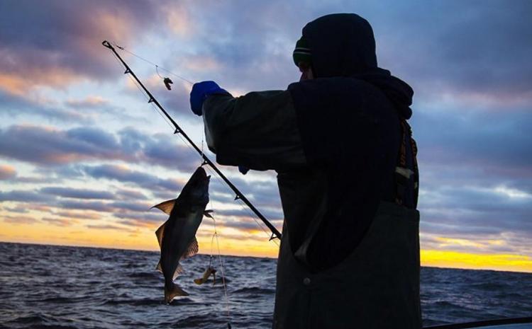 Qanunsuz balıq ovlayan şəxslər cəzalandırılıb 