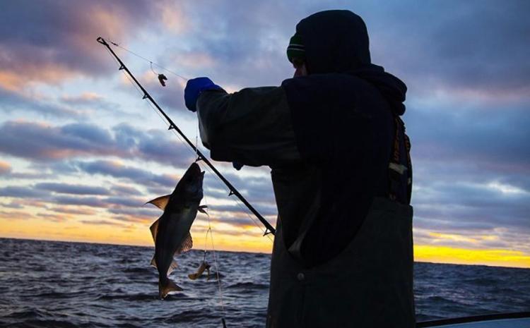 Qanunsuz balıq ovlayan şəxslər cəzalandırılıb 