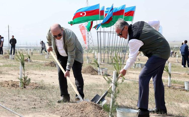 "Heydər Əliyev İli" çərçivəsində növbəti ağacəkmə aksiyası keçirilib 