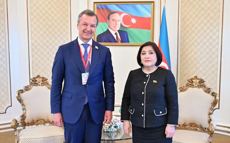Sahibə Qafarova Rusiya Federal Məclisinin Federasiya Şurası sədrinin birinci müavini ilə görüşüb 