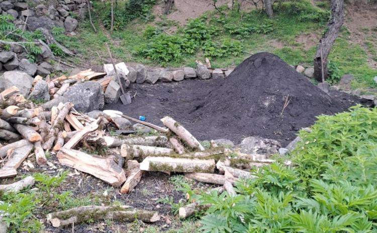 Qanunsuz yolla ağac kömürü istehsal edilən quyuları aşkar olunub 
