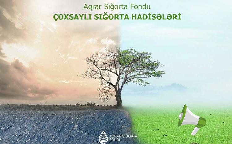 Aqrar Sığorta Fondu hava şəraiti ilə əlaqədar təsərrüfatlaradəymiş zərəri müəyyənləşdirməyə başlayıb 