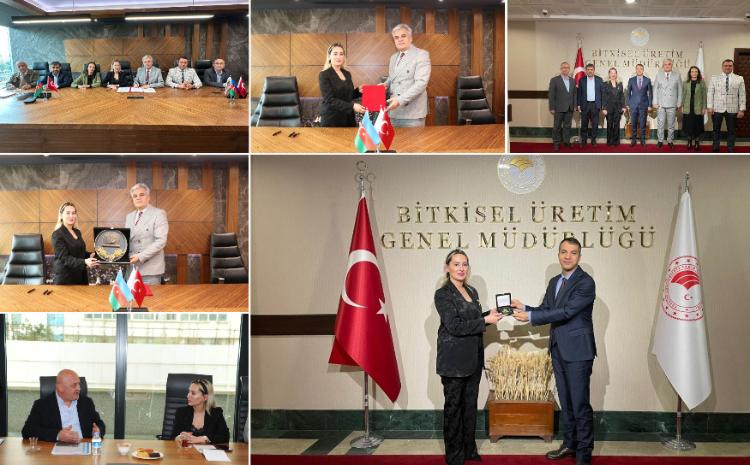 Azərbaycanla Türkiyə arasında aqrar sahədə əməkdaşlıq genişləndirilir 