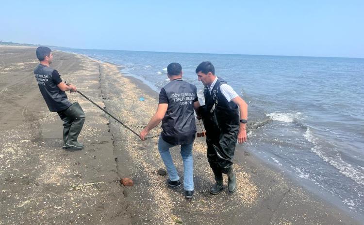 "Hövzələri sintetik torlardan birlikdə təmizləyək" aksiyası davam edir 