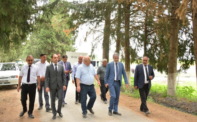 Göyçay İcra Hakimiyyətinin başçısı yeni yaradılmış tingçilik təsərrüfatında aparılan işlərinin gedişi ilə maraqlanıb 