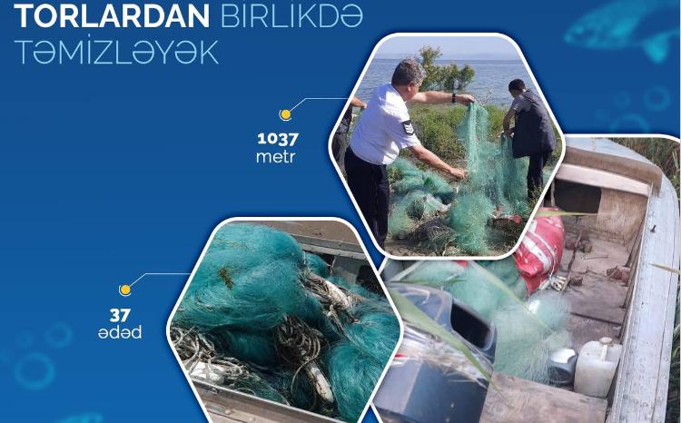 "Hövzələri sintetik torlardan birlikdə təmizləyək" aksiyası çərçivəsində torların yığışdırılması davam edir 