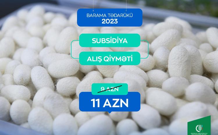 Tədarük məntəqələrinə 328 ton yaş barama təhvil verilib 