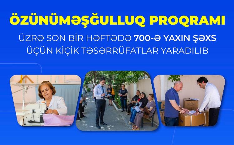 Özünüməşğulluq proqramı üzrə son bir həftədə 700-ə yaxın şəxs üçün kiçik təsərrüfatlar yaradılıb 