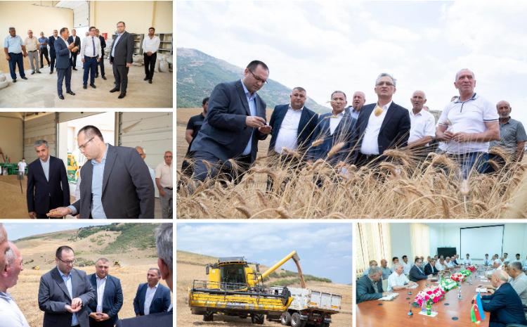 Nazir Məcnun Məmmədov Cəlilabadın dağ kəndlərində taxıl biçini prosesini izləyib, fermerlərlə görüşüb 