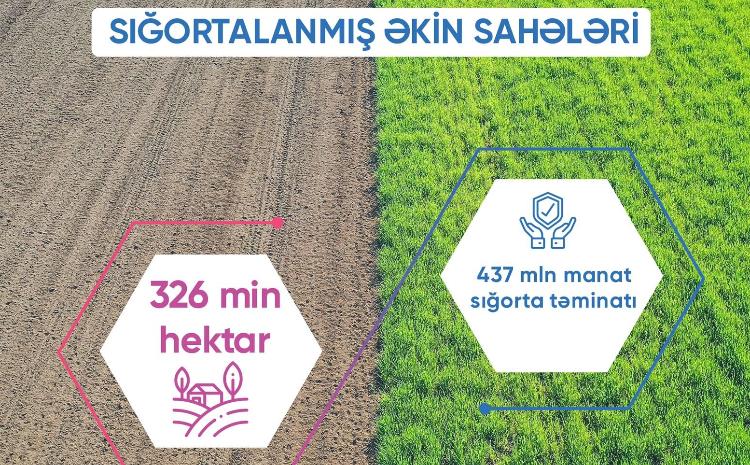 Aqrar Sığorta Fondu ilin ilk 6 ayı ərzində 326 min hektar əkin sahəsini sığortalayıb 