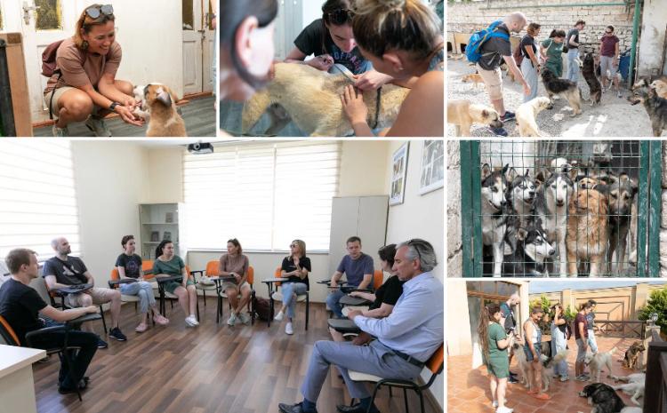 Российские ветеринары проведут тренинги для азербайджанских специалистов 