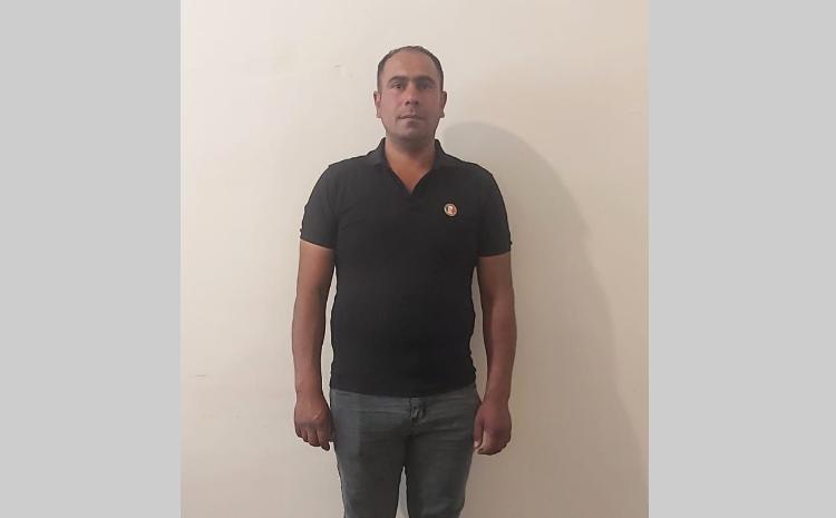 İsmayıllıda dağlıq ərazidə tur ovlayan şəxs saxlanılıb 