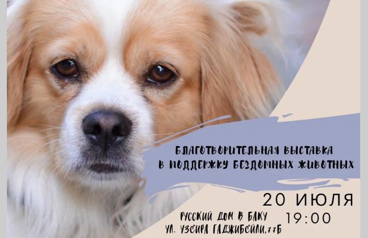 "Выставки молодых талантов" 