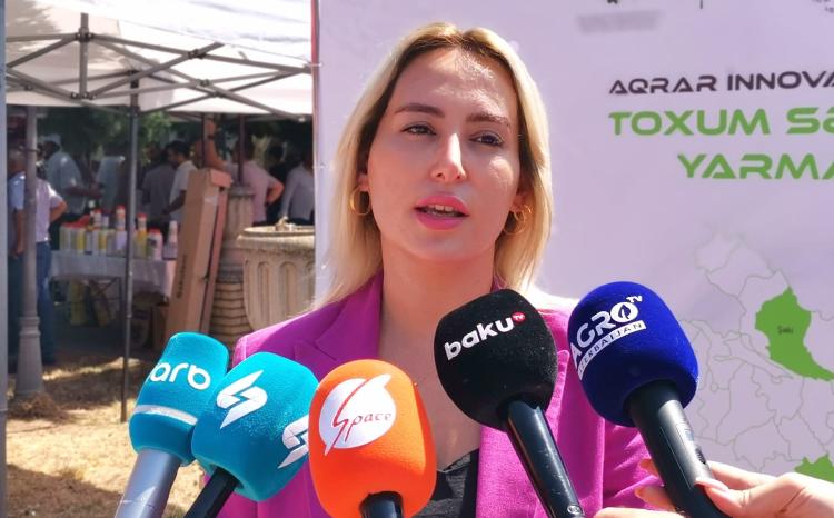 Toxum alarkən diqqətli olun - Sədr açıqlama verdi 