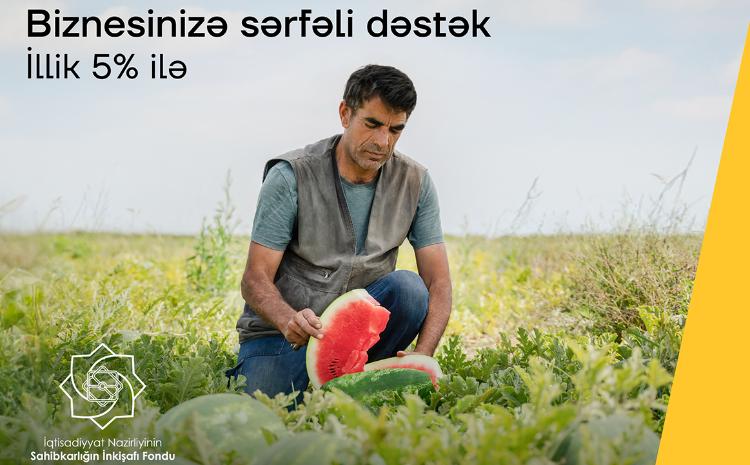 Получите бизнес-кредит в Yelo Bank всего под 5% годовых! 