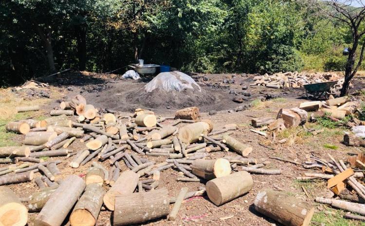 Masallı rayonunda qanunsuz yolla ağac kömürü istehsal edilən quyular aşkar edilib 