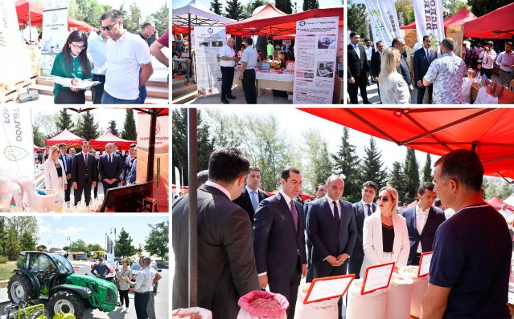 Şamaxıda növbəti toxum sərgi-satış yarmarkası keçirilib 