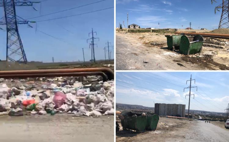 Ərazi tullantılardan təmizlənib 