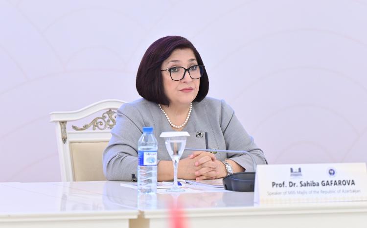 Draft Decision About the Commission on Women Initiated and Authored by Azerbaijan Was Discussed at APA Meeting 