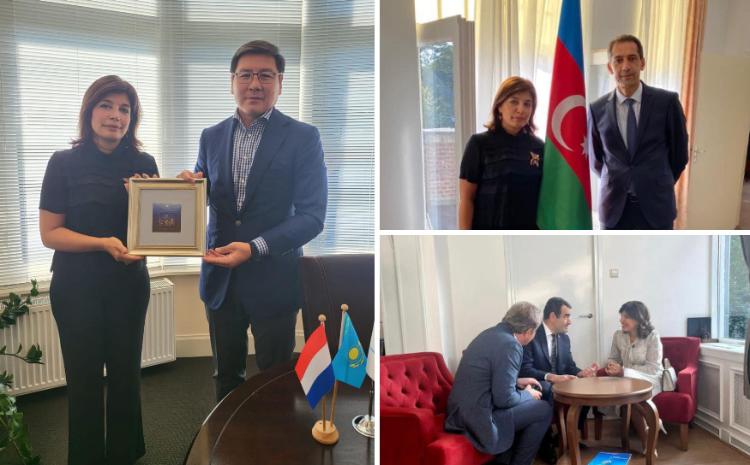 Gunay Afandiyeva met with the ambassadors of the Turkic countries in the Kingdom of the Netherlands 