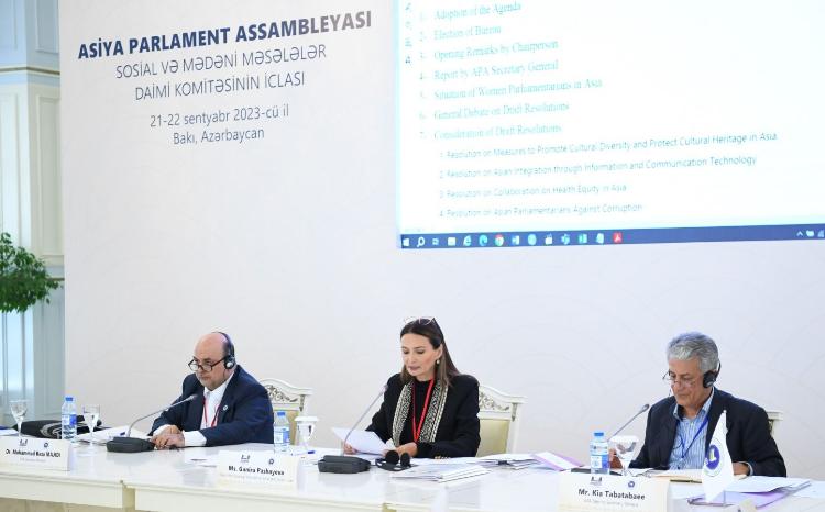 Asiya Parlament Assambleyasının Sosial və mədəni məsələlər üzrə daimi komitəsinin iclasında 