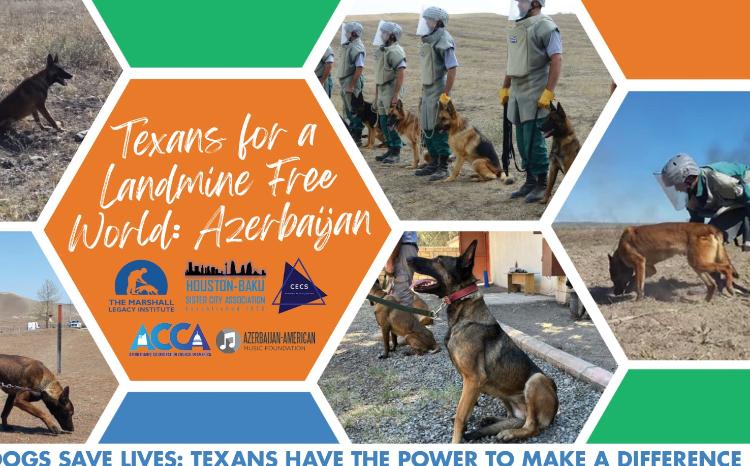 В американском городе Даллас будет проведена кампания в поддержку Азербайджана в связи с минной угрозой 
