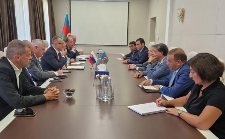 В Шуше обсуждены связи между городами Азербайджана и Словакии 