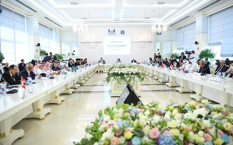 Sahiba Gafarova Speaks at the Meeting of APA Standing Committee on Social and Cultural Affairs 