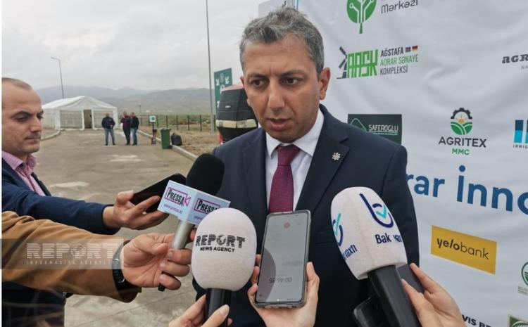 Assosiasiya: "Azərbaycanda yeni toxum sortları sınaqdan keçirilir" 