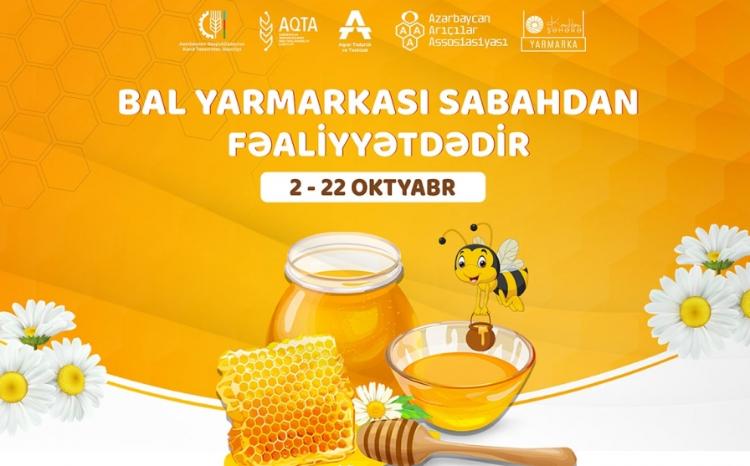 Bal almaq istəyənlərin NƏZƏRİNƏ! 