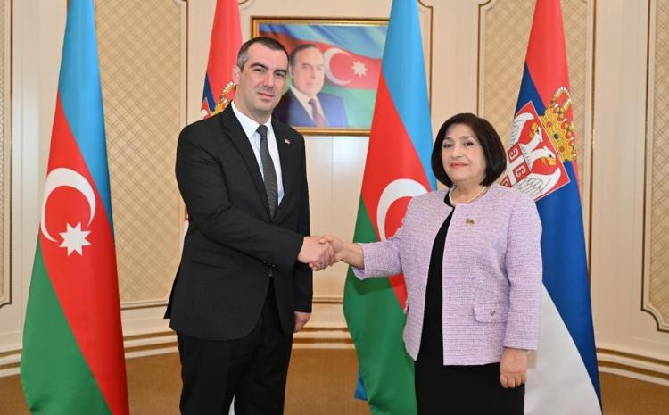 Спикер Милли Меджлиса Сагиба Гафарова встретилась с председателем Народной скупщины Республика Сербия 