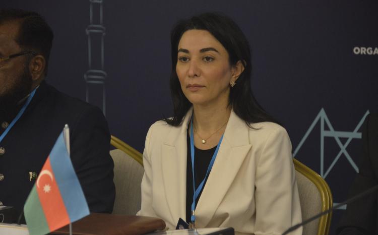 Səbinə Əliyeva İstanbulda TÜRKOMB növbəti iclasında iştirak edib 