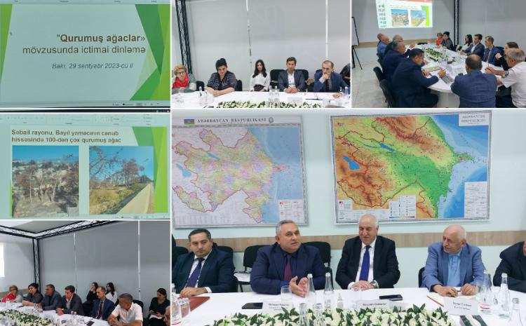 Bakı şəhəri üzrə 200-dən artıq qurumuş və qəzalı ağacın götürülməsinə dair ictimai dinləmə keçirilib 