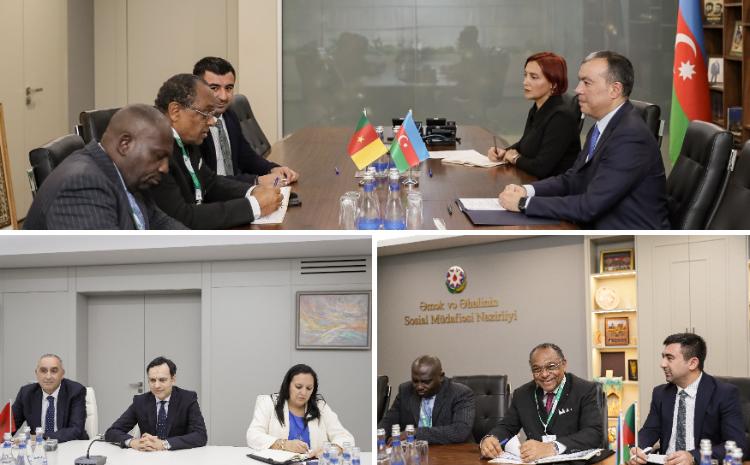 Mərakeş və Kamerun nazirləri ilə görüşlərdə sosial əməkdaşlıq məsələlərinə dair fikir mübadilələri aparılıb 