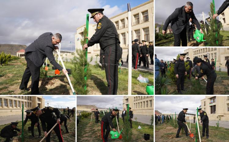 Dövlət Xidməti ağacəkmə aksiyası keçirdi 