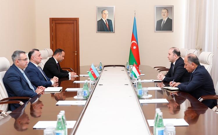 В Министерстве здравоохранения Азербайджана состоялась встреча с послом Таджикистана в нашей стране 