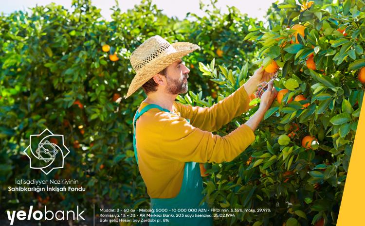 Начните развивать свой бизнес с кредитом всего 5% годовых 