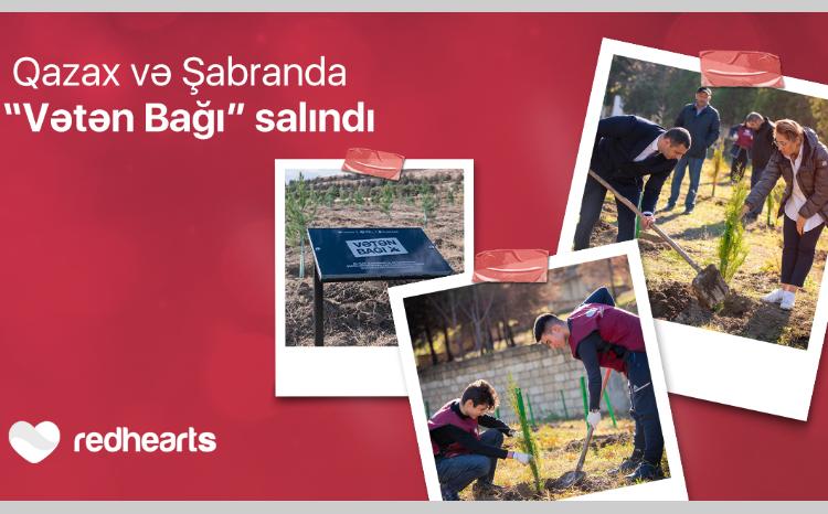 Qırmızı Ürəklər Fondunun dəstəyi ilə Qazax və Şabran rayonlarında "Vətən Bağı" salındı 